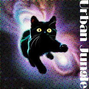 L ̑ F |bvA[g  NbVJo[ 45×45cm Aj}   NbV{̕t `