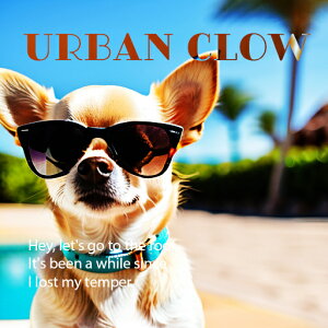 TOX ` v[ V̖  NbVJo[ 45×45cm Aj}   NbV{̕t `