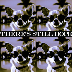 TOX ` V̖ ] NbVJo[ 45×45cm Aj}   NbV{̕t `