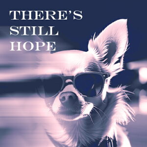 ዾ ` ] JCC IV sN NbVJo[ 45×45cm Aj}   NbV{̕t `