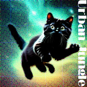 L A[oWO Jt |bvA[g lI NbVJo[ 45×45cm Aj}   NbV{̕t `