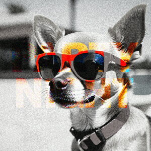 TOX ` ̎ p[eB[ NbVJo[ 45×45cm Aj}   NbV{̕t `