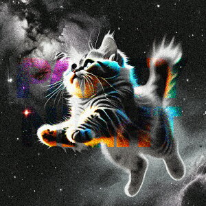 L F  A[g NbVJo[ 45×45cm Aj}   NbV{̕t `