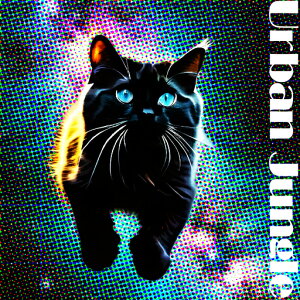 L  A[oWO |bvA[g NbVJo[ 45×45cm Aj}   NbV{̕t `