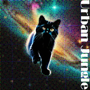 L A[o WO F |bvA[g NbVJo[ 45×45cm Aj}   NbV{̕t `