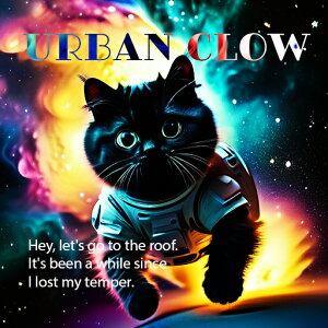 F L A[g  t@^W[ NbVJo[ 45×45cm Aj}   NbV{̕t `