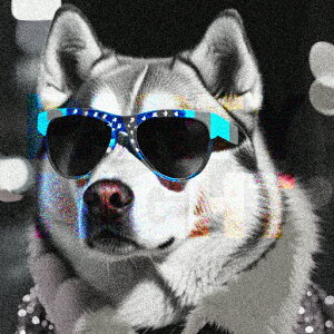 ዾ VxAnXL[ TOX  N[  NbVJo[ 45×45cm Aj}   NbV{̕t `