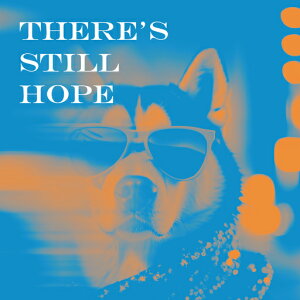 TOX s ] Jt ۃA[g NbVJo[ 45×45cm Aj}   NbV{̕t `