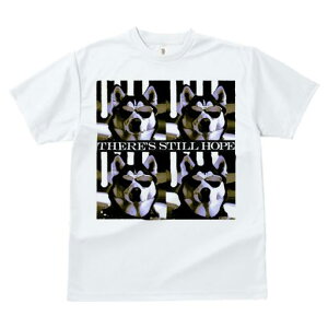 TVc fB[X t@  t vg JWA 킢 lԗp tBbglX Kl nXL[ Ɣ