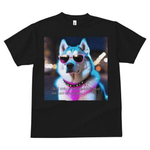 TVc fB[X t@  t vg JWA 킢 lԗp tBbglX TOX VxAnXL[ lbNX  Cg