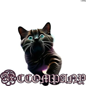 L fW^A[g eLXg bZ[W  NbVJo[ 45×45cm Aj}   NbV{̕t `