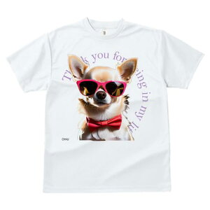 TVc fB[X t@  t vg JWA 킢 lԗp tBbglX TOX ` ԂlN^C bZ[W