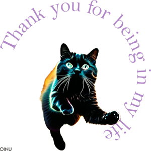 L OtBbNA[g   NbVJo[ 45×45cm Aj}   NbV{̕t `