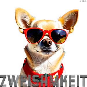 �T���O���X �`���� ��� �N�b�V�����J�o�[ 45×45cm �A�j�}���� ������� ���� �N�b�V�����{�̕t�� �����`