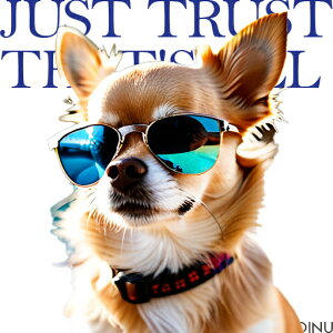 TOX ` N[ ̎  X^C NbVJo[ 45×45cm Aj}   NbV{̕t `