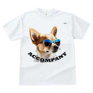 TVc fB[X t@  t vg JWA 킢 lԗp tBbglX Kl `  JbR