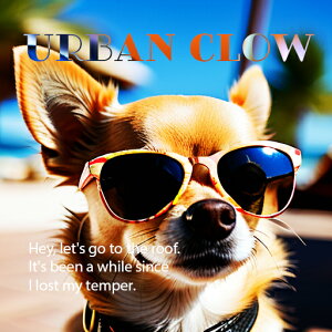 TOX ` ss tFX ^ NbVJo[ 45×45cm Aj}   NbV{̕t `