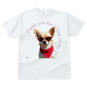 TVc fB[X t@  t vg JWA 킢 lԗp tBbglX TOX ` Ԃo_i Kl Ck