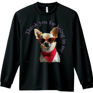 TVc lԗp Y Ht vg W[ AEghA JWA 킢 TOX ` Ԃo_i Kl Ck