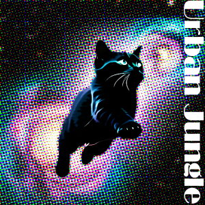 L F A[oWO |bvA[g Jt NbVJo[ 45×45cm Aj}   NbV{̕t `