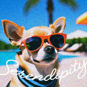 TOX ` v[ V̖  NbVJo[ 45×45cm Aj}   NbV{̕t `