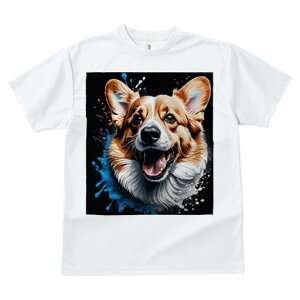 TVc fB[X t@  t vg JWA 킢 lԗp tBbglX G R[M[ A[g XvbV