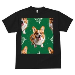 TVc fB[X t@  t vg JWA 킢 lԗp tBbglX  R[M[ ͗l Ί 킢 