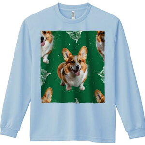 TVc lԗp Y Ht vg W[ AEghA JWA 킢  R[M[ ͗l Ί 