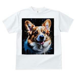 TVc fB[X t@  t vg JWA 킢 lԗp tBbglX G R[M[ A[g XvbV F