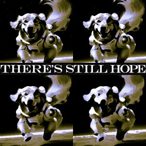 F R[M[ NbVJo[ 45×45cm Aj}   NbV{̕t `