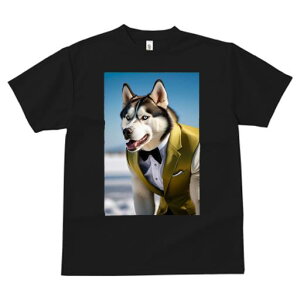 TVc fB[X t@  t vg JWA 킢 lԗp tBbglX lN^C VxAnXL[ X[c tH[}EFA