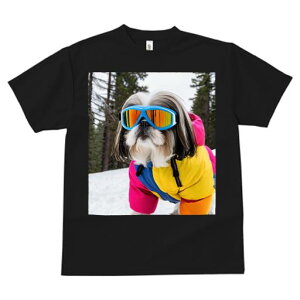 TVc fB[X t@  t vg JWA 킢 lԗp tBbglX XL[ V[Y[ XL[EFA S[O ~