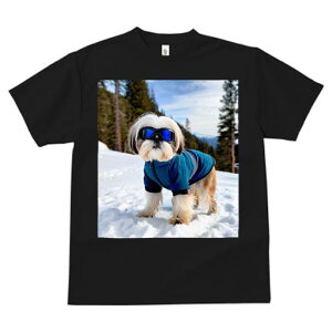 TVc fB[X t@  t vg JWA 킢 lԗp tBbglX  V[Y[ ~ XL[EFA R