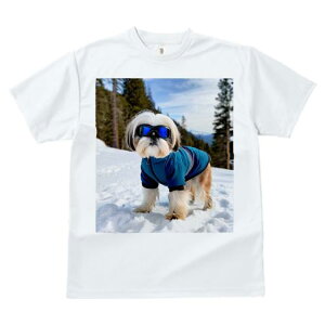 TVc Y LbY t@  t vg JWA 킢 lԗp tBbglX  V[Y[ ~ XL[EFA R