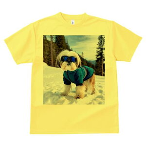 TVc Y LbY t@  t vg JWA 킢 lԗp tBbglX  V[Y[ ~ XL[EFA R