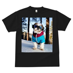 TVc fB[X t@  t vg JWA 킢 lԗp tBbglX  V[Y[ ~ XL[EFA 