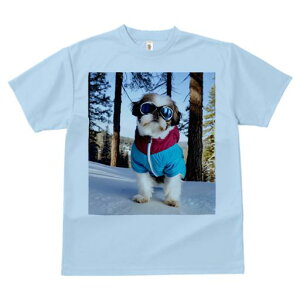 TVc Y LbY t@  t vg JWA 킢 lԗp tBbglX  V[Y[ ~ XL[EFA 