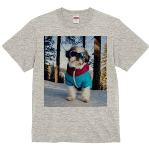 TVc Y LbY t@  t vg JWA 킢 lԗp tBbglX  V[Y[ ~ XL[EFA 