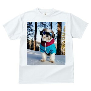 TVc fB[X t@  t vg JWA 킢 lԗp tBbglX  V[Y[ ~ XL[EFA 