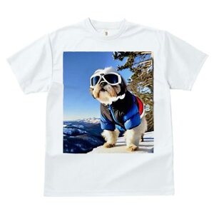 TVc fB[X t@  t vg JWA 킢 lԗp tBbglX XL[ V[Y[ ~ R XL[EFA