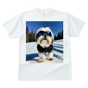 TVc fB[X t@  t vg JWA 킢 lԗp tBbglX  V[Y[ XL[EFA S[O ~