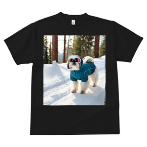 TVc fB[X t@  t vg JWA 킢 lԗp tBbglX  V[Y[ ~ XL[EFA XL[S[O