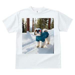 TVc fB[X t@  t vg JWA 킢 lԗp tBbglX  V[Y[ ~ XL[EFA XL[S[O