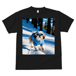 TVc fB[X t@  t vg JWA 킢 lԗp tBbglX  V[Y[ ~ XL[EFA S[O