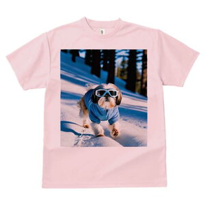 TVc Y LbY t@  t vg JWA 킢 lԗp tBbglX  V[Y[ ~ XL[EFA S[O