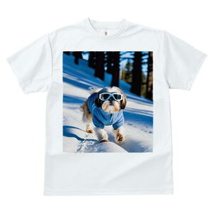 TVc Y LbY t@  t vg JWA 킢 lԗp tBbglX  V[Y[ ~ XL[EFA S[O