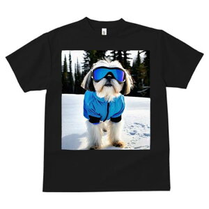 TVc Y LbY t@  t vg JWA 킢 lԗp tBbglX XL[EFA V[Y[ XL[S[O R