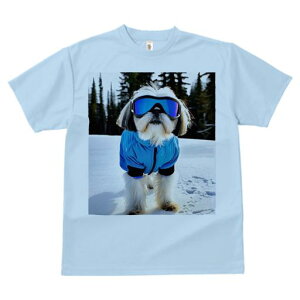 TVc Y LbY t@  t vg JWA 킢 lԗp tBbglX XL[EFA V[Y[ XL[S[O R