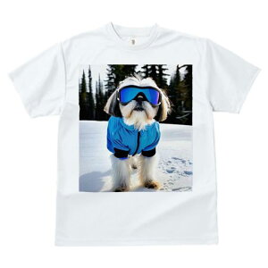 TVc fB[X t@  t vg JWA 킢 lԗp tBbglX XL[EFA V[Y[ XL[S[O R