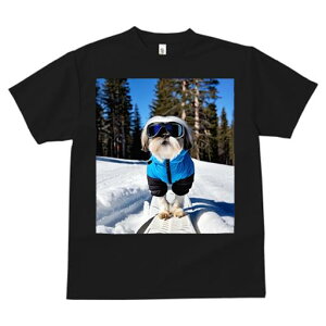 TVc fB[X t@  t vg JWA 킢 lԗp tBbglX XL[ V[Y[  ~ XL[EFA